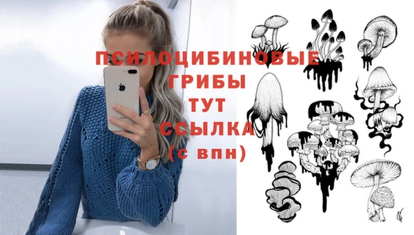дживик Абинск